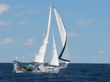 HANS CHRISTIAN 43 TRADITIONAL - Sous voiles