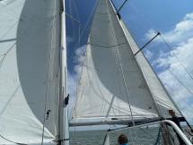 AYC Yachtbroker - Williwaws 43 - Sous voiles