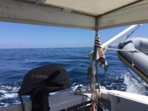 AYC Yachtbrokers - Trawler Meta King Atlantique - Cockpit protégé