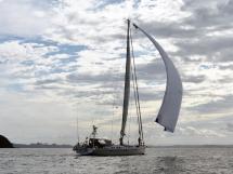 Plan Briand 64' - Sous voiles